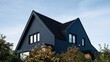 © Roger - Contemporary dark blue gabled residential house exterior with vertical wood siding and clean angular roof lines against light blue sky