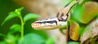 © Vera - A python lies on the ground and on rocks in the wild.Close-up of a boa constrictor on a tree. Snake skin. Reptile.