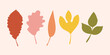 © irina - Cute Set of autumn leaves from different trees . Simple yellow, red, orange fall leaf set for pattern, banner, sticker. Hello autumn card. Flat vector illustration.