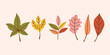 © irina - Cute Set of autumn leaves from different trees . Simple yellow, red, orange fall leaf set for pattern, banner, sticker. Hello autumn card. Flat vector illustration.