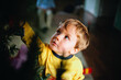 © Natalie Wheeler - Little Boy Decorating Christmas Tree