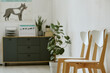 © AnnaStills - Veterinary clinic waiting area featuring empty chairs and canine anatomy poster representing pet healthcare. Image suitable for animal hospital promotion and vet services