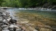 © Dwiyan - Clear River Water Edges with Smooth Pebbles by Forest