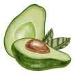 © Elli - A hand-drawn watercolor illustration of an avocado composition with slices and leaves. Suitable for stores, cafes, packaging, menus, and products related to cooking, skincare, and health.