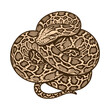 © raul valeska - Vintage engraving style coiled python snake vector illustration