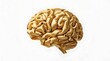 © SMFARHANTANVIR - Christmas Human Body Part Conceptual 3D Illustration of a Human Brain Made of Golden Silk Ribbons Isolated on White Background Representing Intelligence and Creativity