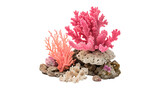 Decorative colorful sea coral cluster aquarium decoration element isolated on transparent background