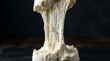 © darmo - Stretching Raw Dough Texture Close-up, Baking Ingredients, Abstract Food Background