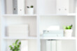 © Pixel-Shot - Corporate office organization and workspace productivity, blurred background of white shelves with binders and plants in a modern professional interior