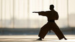 © A2Z AI  - Silhouette of martial artist in a powerful stance against bright window light, showcasing strength, discipline, focus, and athletic ability