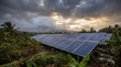 © Attaqi Stock - Solar panels operating across tropical landscapes after a severe storm has passed. Renewable energy concept