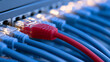 © A2Z AI  - Network server switch with blue ethernet cables and one red patch cable connected to ports in a data center for high speed data con