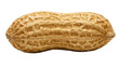 © Matteo - Single whole peanut with textured shell, isolated on transparent background