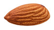 © Matteo - Single whole almond with textured brown skin, isolated on transparent background