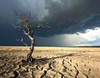 © CreativeCreations - A lone dead tree stands on a dry, cracked, barren landscape under a dramatic stormy sky. Ideal for climate change and environmental crisis concepts.