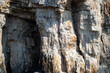 © dsbedarieva - A close-up view shows rugged limestone cliffs along the sea coast in Corfu, Greece. Layered stone formations and natural rock alcoves form the coastal cliff face under daylight.