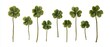 © PinkiePie - Set of pressed Liverwort, primitive botanical study, pure white background