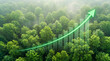 © Noura Gallery - Carbon credit market growth and environmental sustainability success concept with a transparent upward arrow graph over a vibrant green forest