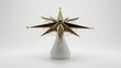 © Arief - ​Golden wind rose compass sculpture symbol on clean white background for navigation concept