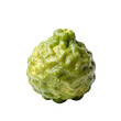 © Studicon - A single green Buddha's hand citron fruit with water droplets on its textured skin