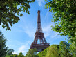 © Peter Harrison/Stocksy - Eiffel Tower
