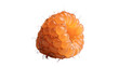 © Olga - Single ripe orange cloudberry piece isolated on transparent background.
