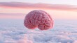 © Mitchell - Suspended human brain floating gently amidst a tranquil cloudscape, reflecting a soft, pastel pink sunset, representing abstract thought and mental clarity