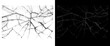 © PNG - Broken glass texture overlay, shattered window screen effect on black and white background, cracked mirror surface pattern for photo editing