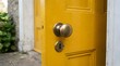 © Ponyo  - Bright yellow door with brass doorknob and lock in a charming outdoor setting with greenery and urban architectural details