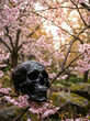 © EchoFrame - Glossy black skull nestled among flowering cherry blossom tree branches