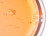 © ADDICTIVE STOCK - Orange cosmetic gel sample in Petri dish close-up