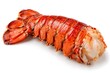© Samiul - Freshly cooked lobster tail isolated on a clean white background, high quality studio shot of a delicious seafood delicacy ready for gourmet preparation, vibrant red shell with succulent white meat