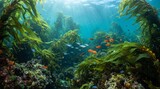 Underwater kelp forest photo featuring giant green seaweed fronds and rocky reefs. Small orange and blue reef fish swimming through the clear turquoise water. Sunlight filtering down from surface