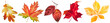 © Юлия Свалова - Watercolor hand-drawn isolated autumn leaves set. Red, orange, yellow maple and oak leaf collection on white background for cozy fall hygge decoration, seasonal design, Thanksgiving invitations.