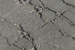 © Priyono ono - A close-up of cracks on a concrete road surface, revealing damage, potholes, and signs of wear; ideal for illustrating concepts such as infrastructure damage, maintenance, transport safety, and urban