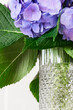 © Anastasiia - Purple hydrangea bouquet in textured glass vase