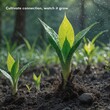 © Fadz - Young green seedlings sprout from rich dark soil with water droplets and morning sunlight, featuring the inspirational text Cultivate connection, watch it grow in a garden setting.