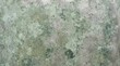 © mohdfaizal - Tarnished copper metal with green patina texture background