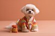 © ko - Cute Maltese dog wearing colorful Korean hanbok with a lucky pouch, Lunar New Year pet portrait