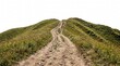 © jannatul - Steep dirt path leading uphill over a grassy green hill isolated on white background