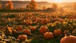 © Trendy Graphics - Vibrant pumpkin patch in golden autumn sunset with glowing sunlight and rolling hills
