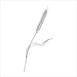 © Natalia - Minimalist Linear Drawing of a Wheat Ear