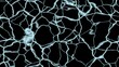 © rakapandu - Water caustics light pattern on black background, pool reflection overlay for summer and underwater designs