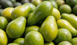 © Lyztock - Fuerte variety avocado group