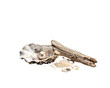 © PNG Studio 99 - Single pearl in oyster shell with driftwood and sand solated on transparent background