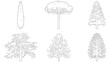 © Hikari Vector Studio - Set of architectural tree vector outline sketches in elevation for landscape design and drawing isolated on transparent background