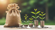 © Asaduzzaman - Growing Wealth Investment Concepts With Money Bags And Coin Stacks Featuring Sprouting Green Plants Representing Financial Success And Sustainable Growth