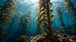 © Haryo - Sun rays beam through a lush underwater kelp forest ecosystem