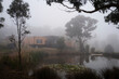 © Rowena Naylor/Stocksy - Australian Country Home Surrounded by Fog in a Forest