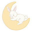 © ximoory - un lindo conejito blanco durmiendo en la luna